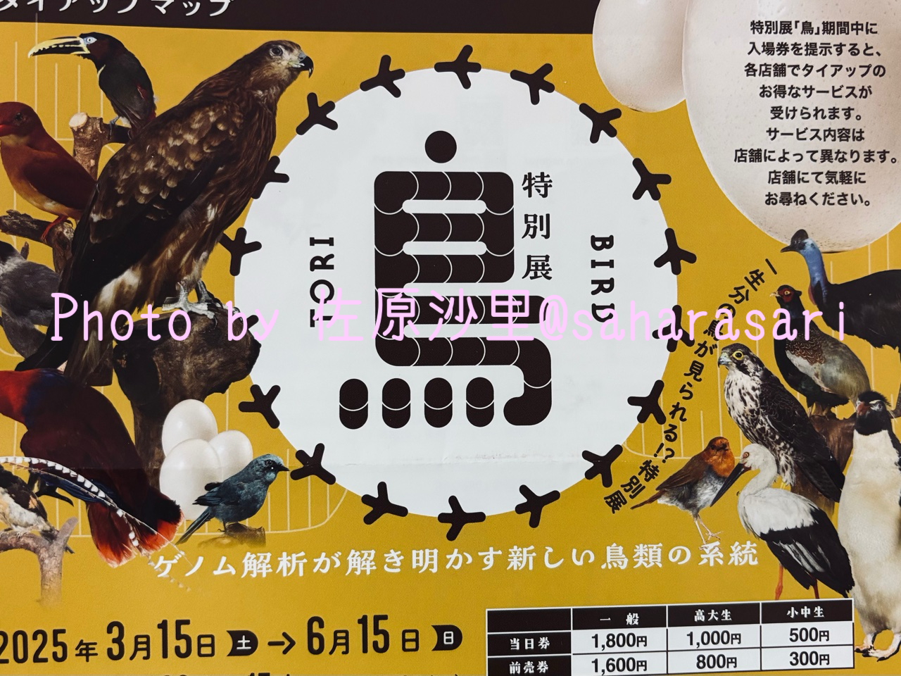 鳥展名古屋