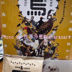 鳥展お土産