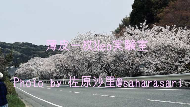 お花見2025