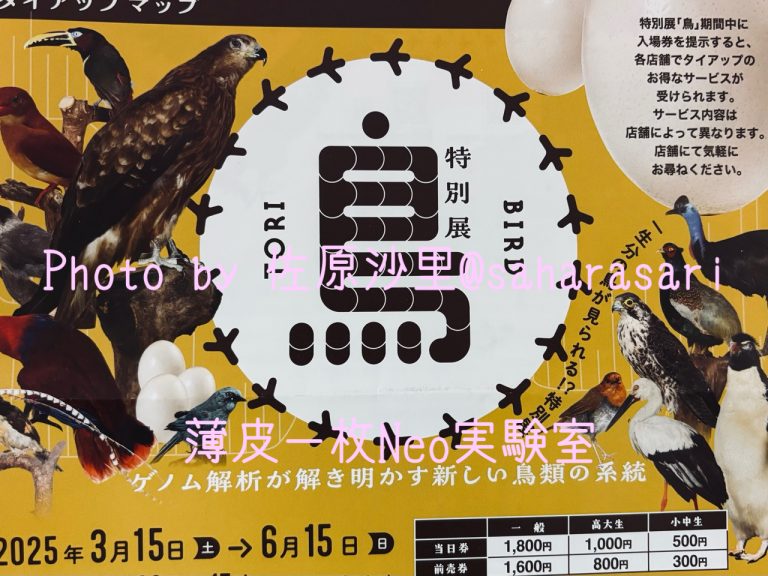 鳥展 in 名古屋市科学館