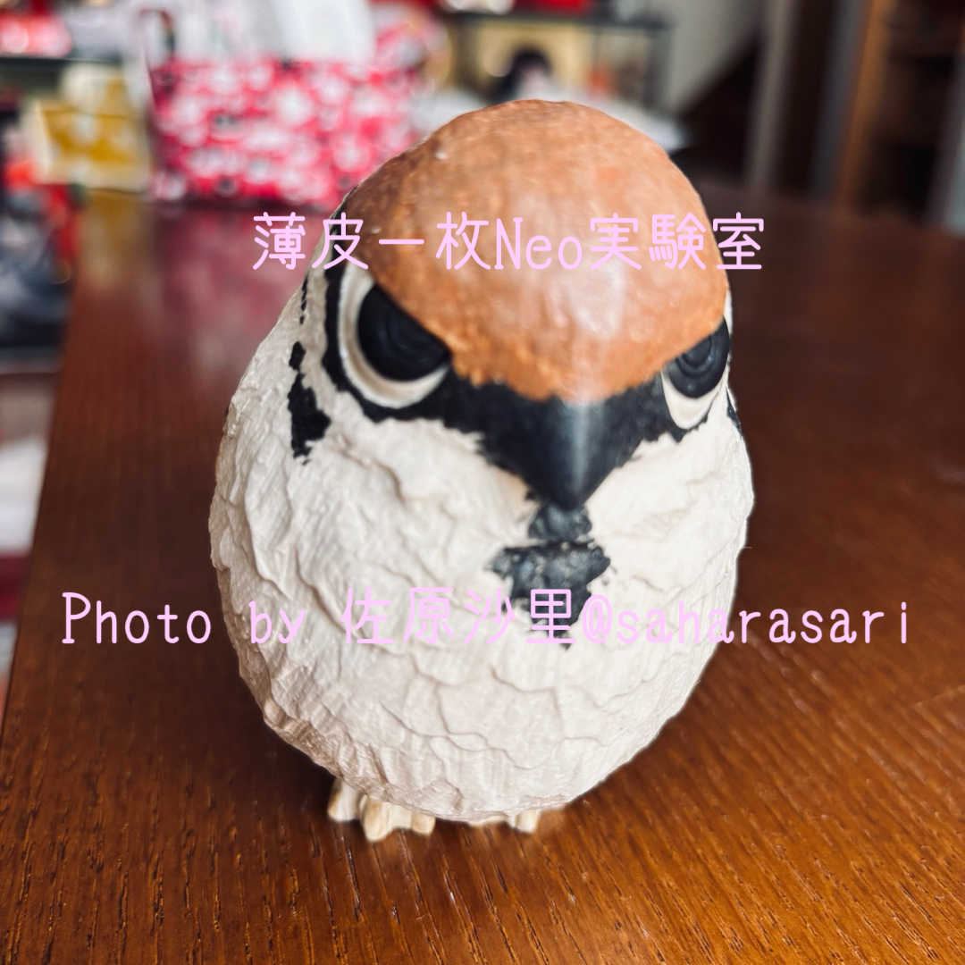 studio ftamura 雀