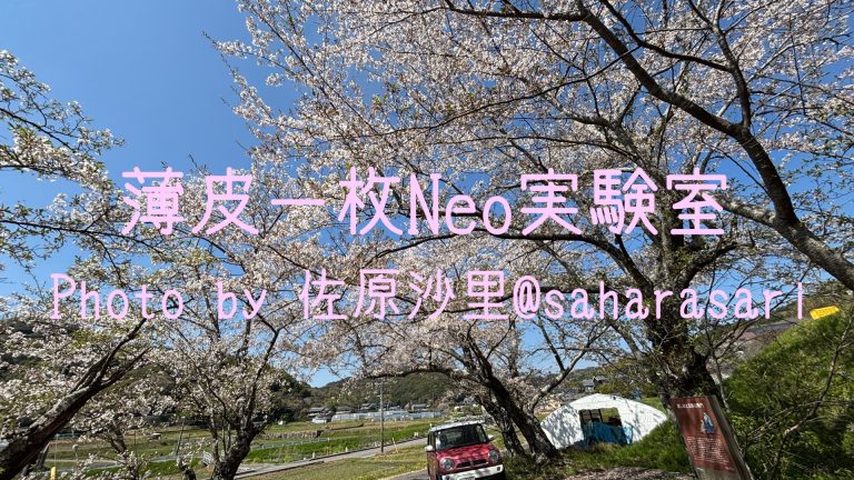 お花見2026